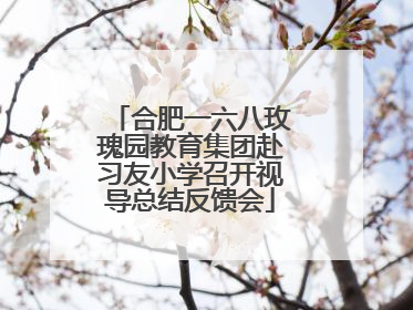 合肥一六八玫瑰园教育集团赴习友小学召开视导总结反馈会