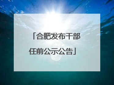 合肥发布干部任前公示公告