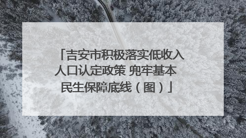 吉安市积极落实低收入人口认定政策 兜牢基本民生保障底线（图）