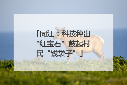 同江：科技种出“红宝石”鼓起村民“钱袋子”