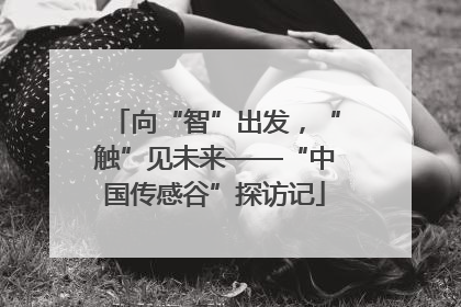 向“智”出发，“触”见未来——“中国传感谷”探访记