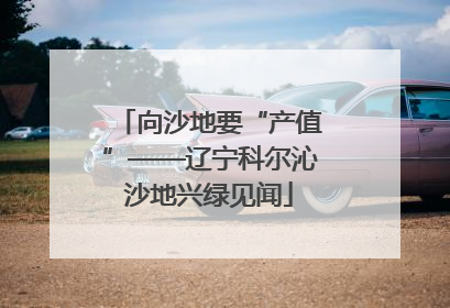 向沙地要“产值”——辽宁科尔沁沙地兴绿见闻