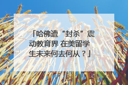 哈佛遭“封杀”震动教育界 在美留学生未来何去何从？