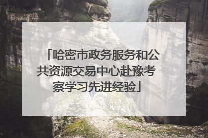 哈密市政务服务和公共资源交易中心赴豫考察学习先进经验