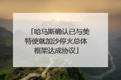哈马斯确认已与美特使就加沙停火总体框架达成协议