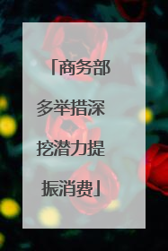 商务部多举措深挖潜力提振消费