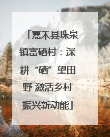 嘉禾县珠泉镇富硒村：深耕“硒”望田野 激活乡村振兴新动能