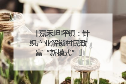 嘉禾坦坪镇：针织产业解锁村民致富“新模式”