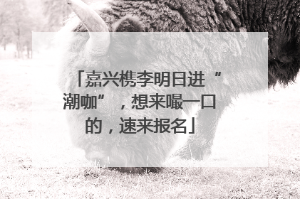 嘉兴槜李明日进“潮咖”，想来嘬一口的，速来报名