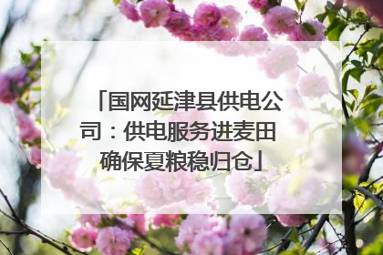 国网延津县供电公司：供电服务进麦田 确保夏粮稳归仓
