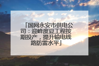国网永安市供电公司：迎峰度夏工程按期投产，提升输电线路防雷水平
