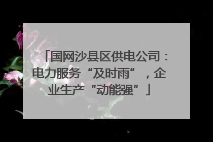 国网沙县区供电公司：电力服务“及时雨”，企业生产“动能强”