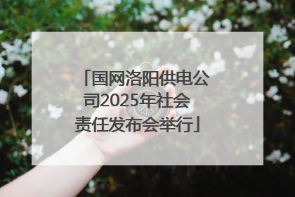 国网洛阳供电公司2025年社会责任发布会举行