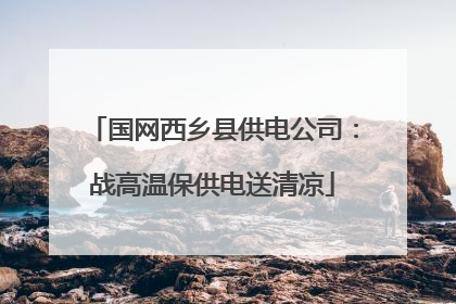国网西乡县供电公司：战高温保供电送清凉