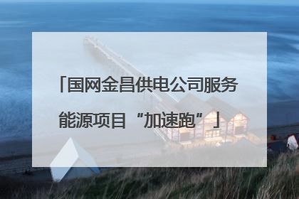 国网金昌供电公司服务能源项目“加速跑”