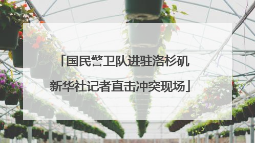 国民警卫队进驻洛杉矶 新华社记者直击冲突现场