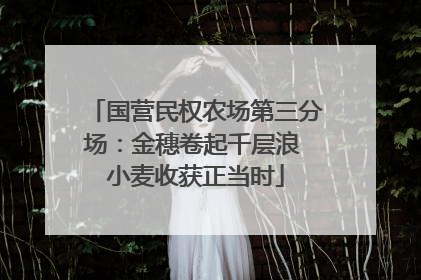国营民权农场第三分场：金穗卷起千层浪 小麦收获正当时