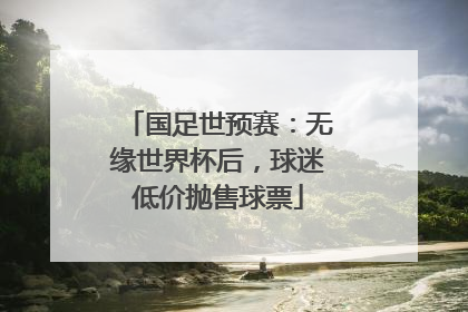 国足世预赛：无缘世界杯后，球迷低价抛售球票