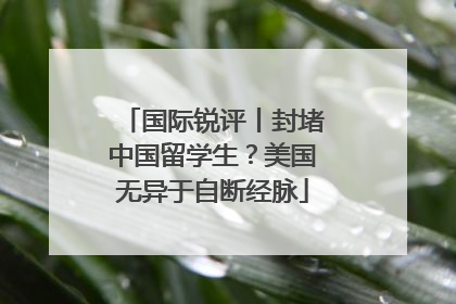 国际锐评丨封堵中国留学生？美国无异于自断经脉