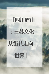 四川眉山：三苏文化从街巷走向世界