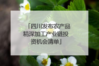 四川发布农产品精深加工产业链投资机会清单
