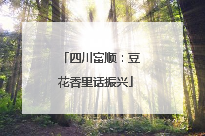 四川富顺：豆花香里话振兴