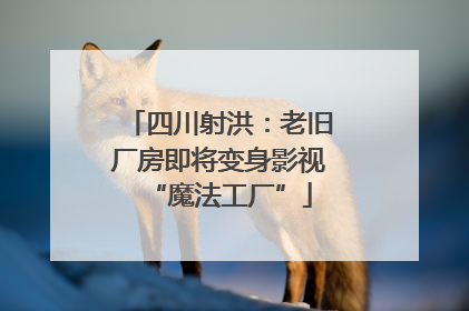 四川射洪：老旧厂房即将变身影视“魔法工厂”