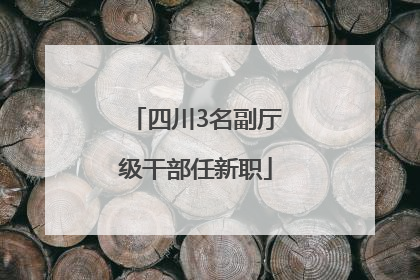 四川3名副厅级干部任新职