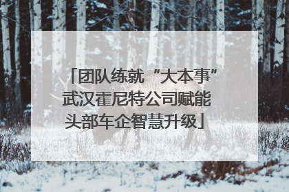 团队练就“大本事” 武汉霍尼特公司赋能头部车企智慧升级