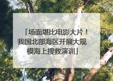 场面堪比电影大片！我国北部海区开展大规模海上搜救演训