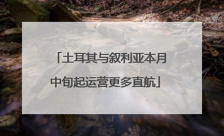 土耳其与叙利亚本月中旬起运营更多直航