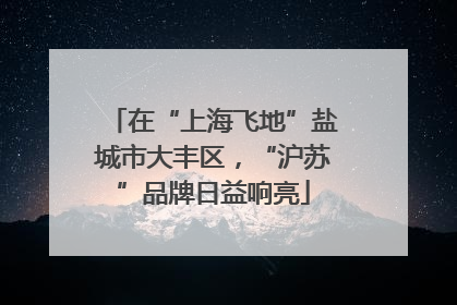 在“上海飞地”盐城市大丰区，“沪苏”品牌日益响亮