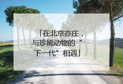 在北京亦庄，与珍稀动物的“下一代”相遇