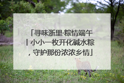 寻味浙里·粽情端午丨小小一枚开化碱水粽，守护那份浓浓乡情