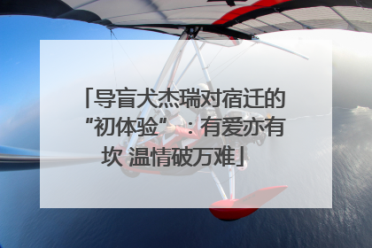 导盲犬杰瑞对宿迁的“初体验”：有爱亦有坎 温情破万难