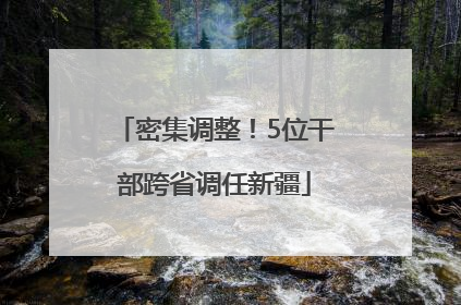 密集调整！5位干部跨省调任新疆