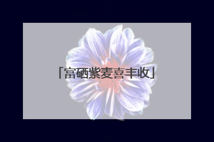 富硒紫麦喜丰收
