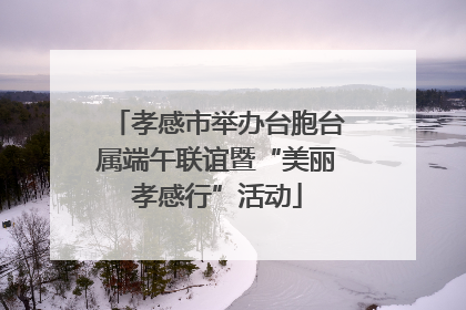 孝感市举办台胞台属端午联谊暨“美丽孝感行”活动