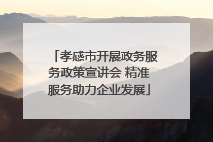 孝感市开展政务服务政策宣讲会 精准服务助力企业发展