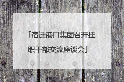 宿迁港口集团召开挂职干部交流座谈会