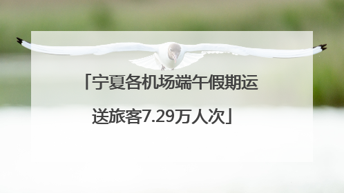 宁夏各机场端午假期运送旅客7.29万人次