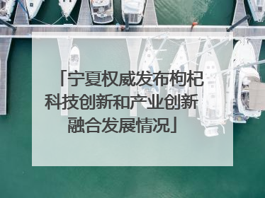 宁夏权威发布枸杞科技创新和产业创新融合发展情况