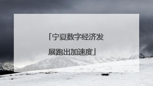 宁夏数字经济发展跑出加速度