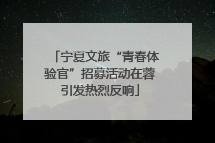 宁夏文旅“青春体验官”招募活动在蓉引发热烈反响