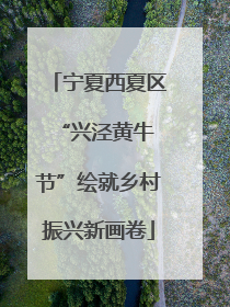 宁夏西夏区 “兴泾黄牛节”绘就乡村振兴新画卷