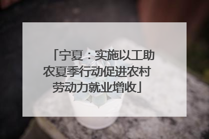 宁夏：实施以工助农夏季行动促进农村劳动力就业增收