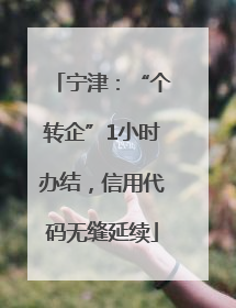 宁津：“个转企”1小时办结，信用代码无缝延续