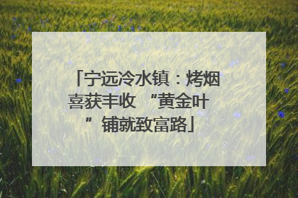 宁远冷水镇：烤烟喜获丰收 “黄金叶”铺就致富路