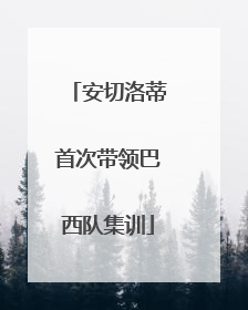 安切洛蒂首次带领巴西队集训