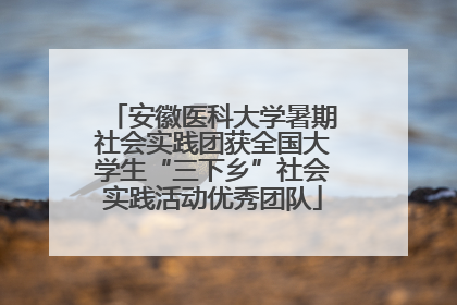 安徽医科大学暑期社会实践团获全国大学生“三下乡”社会实践活动优秀团队